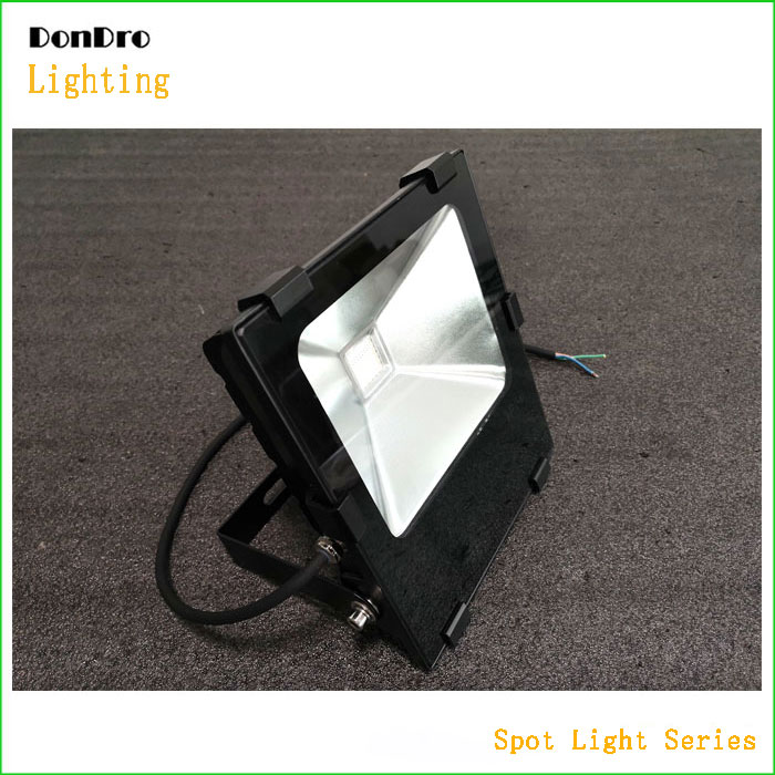 Flood Light