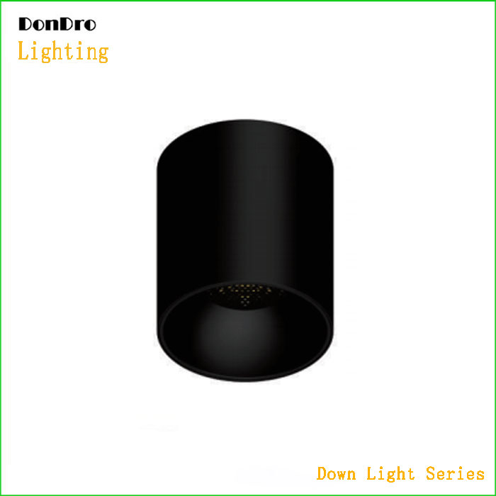 Surface Down Light