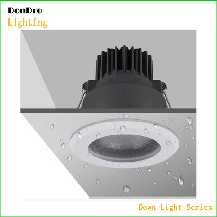 Waterproof Down Light 