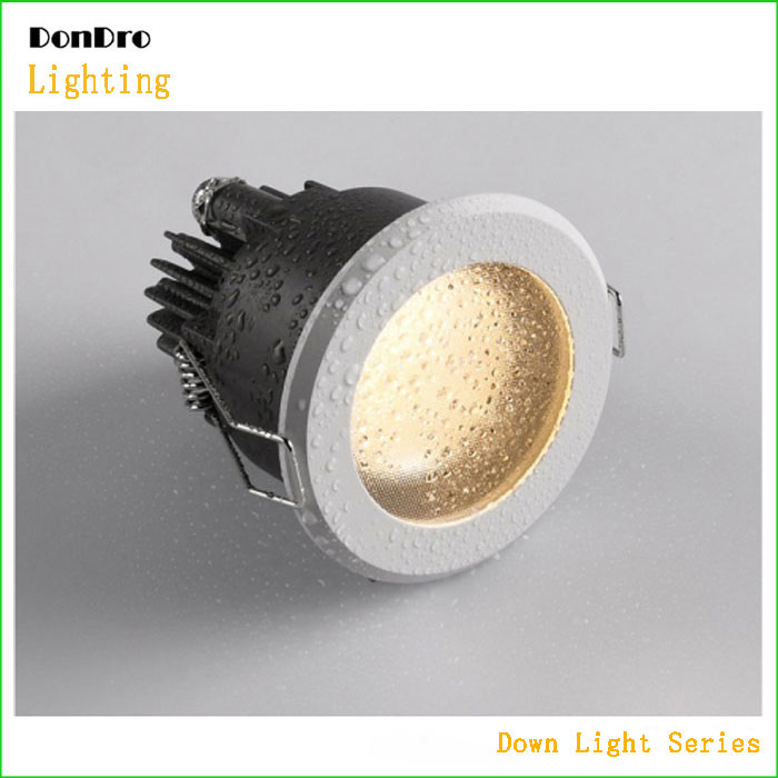 Waterproof Down Light 