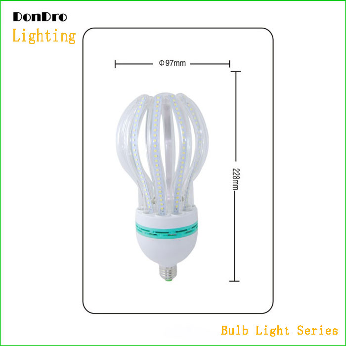 Bulb Light